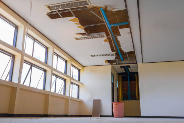 Best 24-hour water damage restoration  in Adwolf, VA