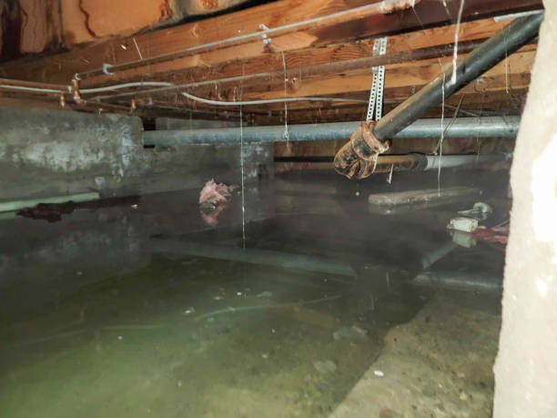 Best Water damage cleanup near me  in Adwolf, VA