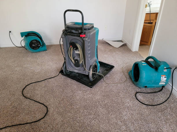 Best Commercial water damage restoration  in Adwolf, VA