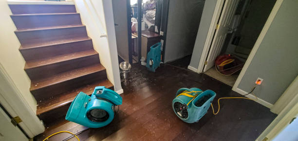 Water damage restoration mold remediation in Adwolf, VA