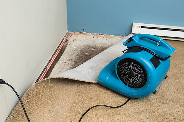 Best Fire Damage Restoration  in Adwolf, VA